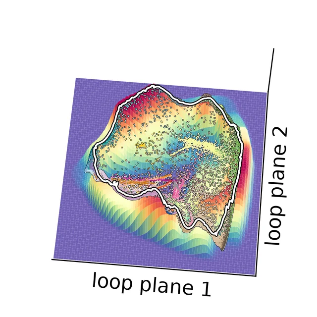 Loop landscape
